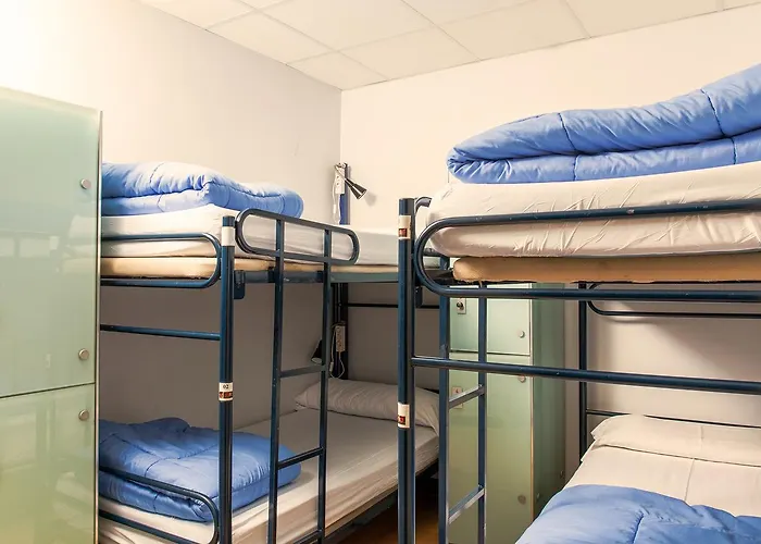 Cats Chill Out Hostel Madrid